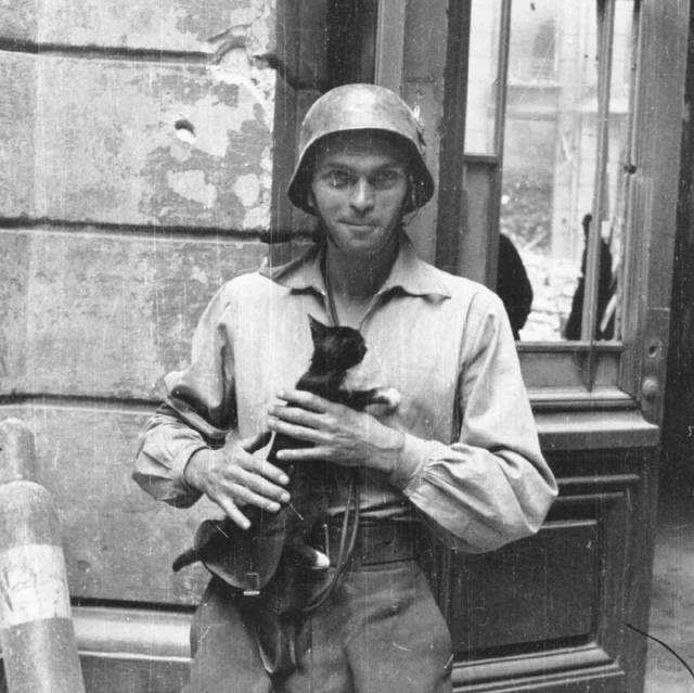 NieZapomnijONas's tweet photo. 25 września 1944 roku poległ Eugeniusz Lokajski ps. "Brok", lekkoatleta, olimpijczyk, fotograf, porucznik Armii Krajowej.  

Olimpijczyk, który jak wielu innych, nie zawahał się poświęcić życia w walce o wolność Ojczyzny. Jest to jedno z największych osiągnięć II Rzeczypospolitej – wychowanie tysięcy wartościowych, kochających Ojczyznę młodych ludzi. Autorytetów wartych pokazania młodemu pokoleniu, by wiedziało jak żyć dla Polski tu i teraz!