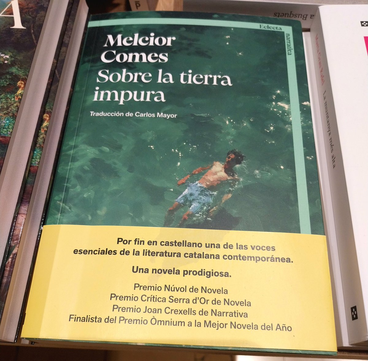 JosepLluchPuig's tweet photo. Vuit anys després de la primera edició catalana, 'Sobre la terra impura' de @MelciorComes apareix en castellà a @eclecta_llibres https://t.co/quzpOrDVjZ