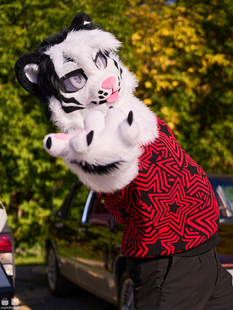 sillystargazzer's tweet photo. Happy #FursuitFriday !!
Had a blast last weekend at our local park meet ⚽️🌳☀️ Make sure to enjoy the nice weather while you can guys!

Big thank you to everyone I saw last saturday and to @matchakitty_ for the sick pictures! 📸 https://t.co/3c8BAXopij