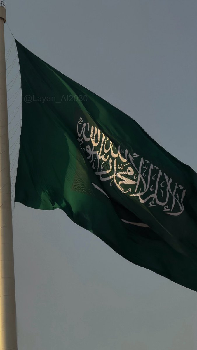 Layan_AI2030's tweet photo. Saudi National Day clips📸🇸🇦:

#اليوم_الوطني_السعودي_٩٦ 
#photography https://t.co/KJqE86qbB9
