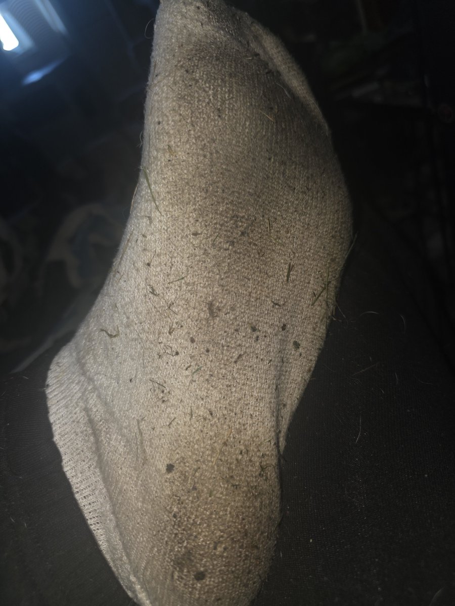 Transgoddess77's tweet photo. Dirty white socks 😌🤭
#feet #feetpics #feetfindom #bigfeet #bigfeetgirl #bigfoot #bigfootgirl #transgirl #tgirl #tporn #xporn #dirtyfeet #bigdirtyfeet #longtoes #stonergirl #stonerfeet #dirty #dirtytransgirl #dirtylittleslut #findom #findomcanada #findomuk #findomgirl #brat #skatergirl #gamergirl #footslut #footworship #toea #bigtoes #footcuck #feetpictures #footfetish #fetish #kinkcontent #kinkyfeet