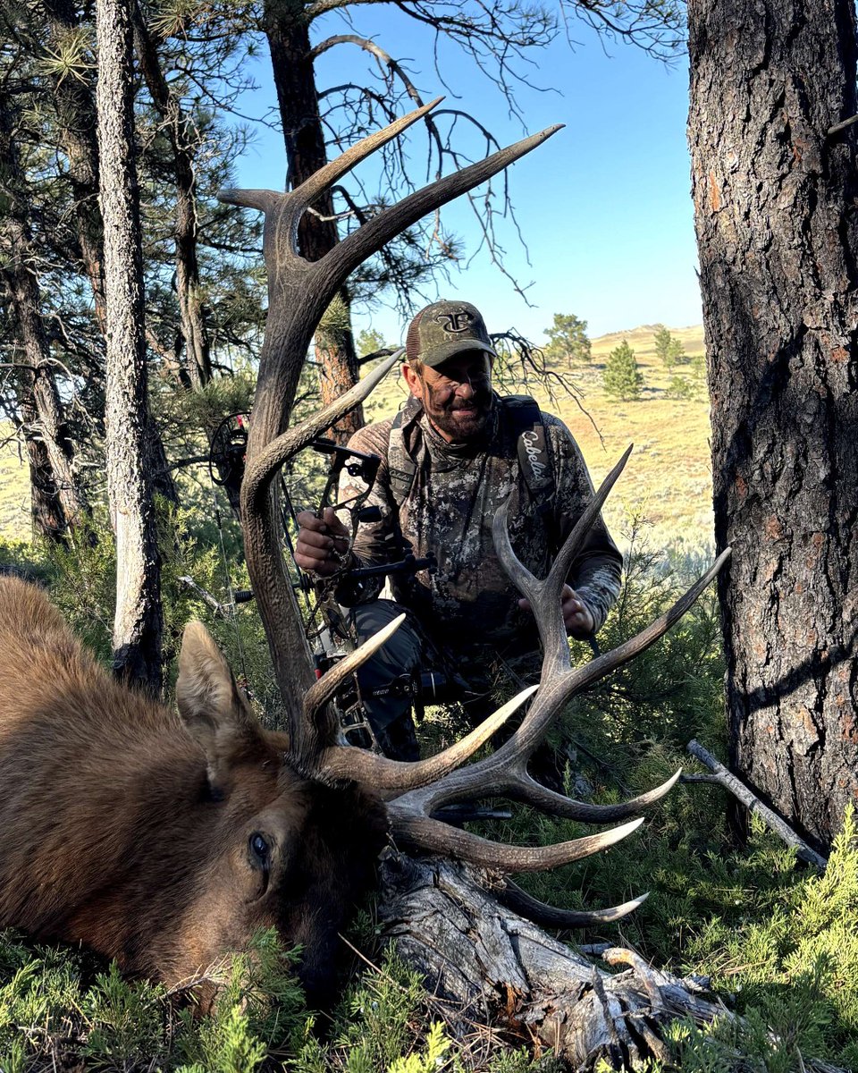 TrueTimber's tweet photo. BIG COUNTRY. BIG BULLS.

Longtime friend and partner of TrueTimber, Rob Keck, knows what it means to put in the miles and earn the moment.

Big country. Big bulls. A lifetime spent chasing wild places.

Proud to have Rob in the TrueTimber family. 🦌

#TrueTimber https://t.co/mtm4i1g5xY