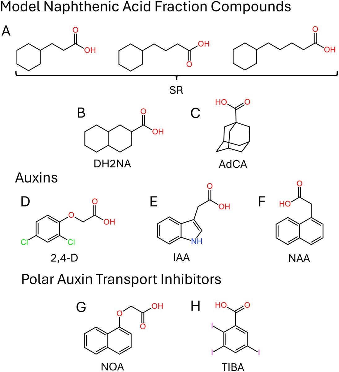 Botany_Journal's tweet photo. Just published! 📰Naphthenic acid fraction compounds from oil sands process-affected water disrupt plant root architecture and auxin signalling

✒️Olsen et al.
🔗https://t.co/NGbAbMvZMM

📷Fig 1 cjb-2026-0061
 #Phytoremediation #PlantScience #OilSandsResearch https://t.co/livKr4j9FY