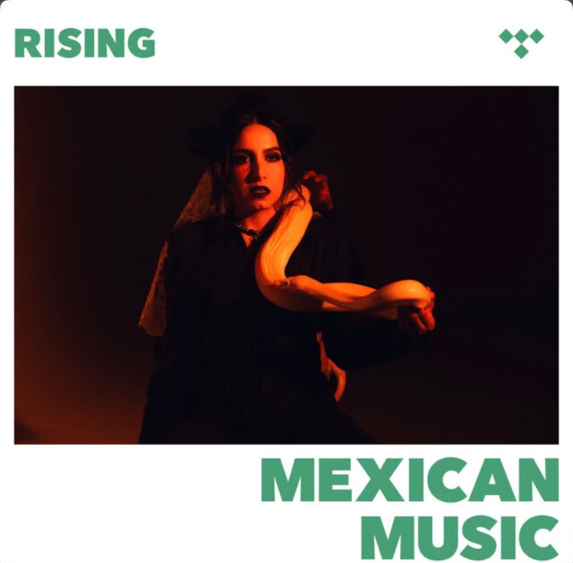 ajrdiscos's tweet photo. Sonando fuerte en las grandes ligas. Encuentra "Modelo Dolce" de MazaClika x Zona 16 en la playlist Mexican Music: RISING de TIDAL. 🔥

¡A disfrutar de este sencillo!
https://t.co/qPkSvuXIuJ

@tidal @jesustalks
@ajrdiscos @_mextunes_ @virginmusiclatin @mazaclika @zona__16_ https://t.co/PL120ELQyh