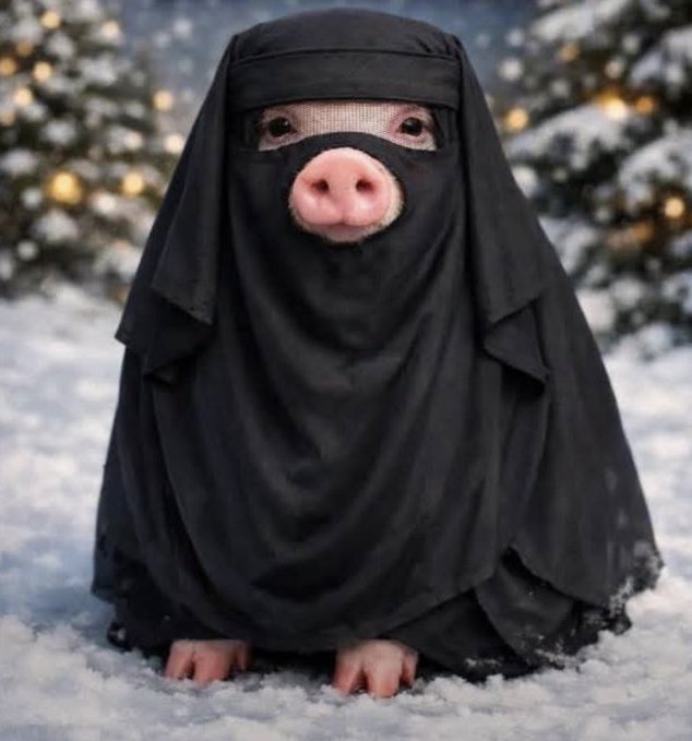 MoonFiction's tweet photo. @0ivankaTrump1 #FCKISLAM https://t.co/clLfy5zfRB