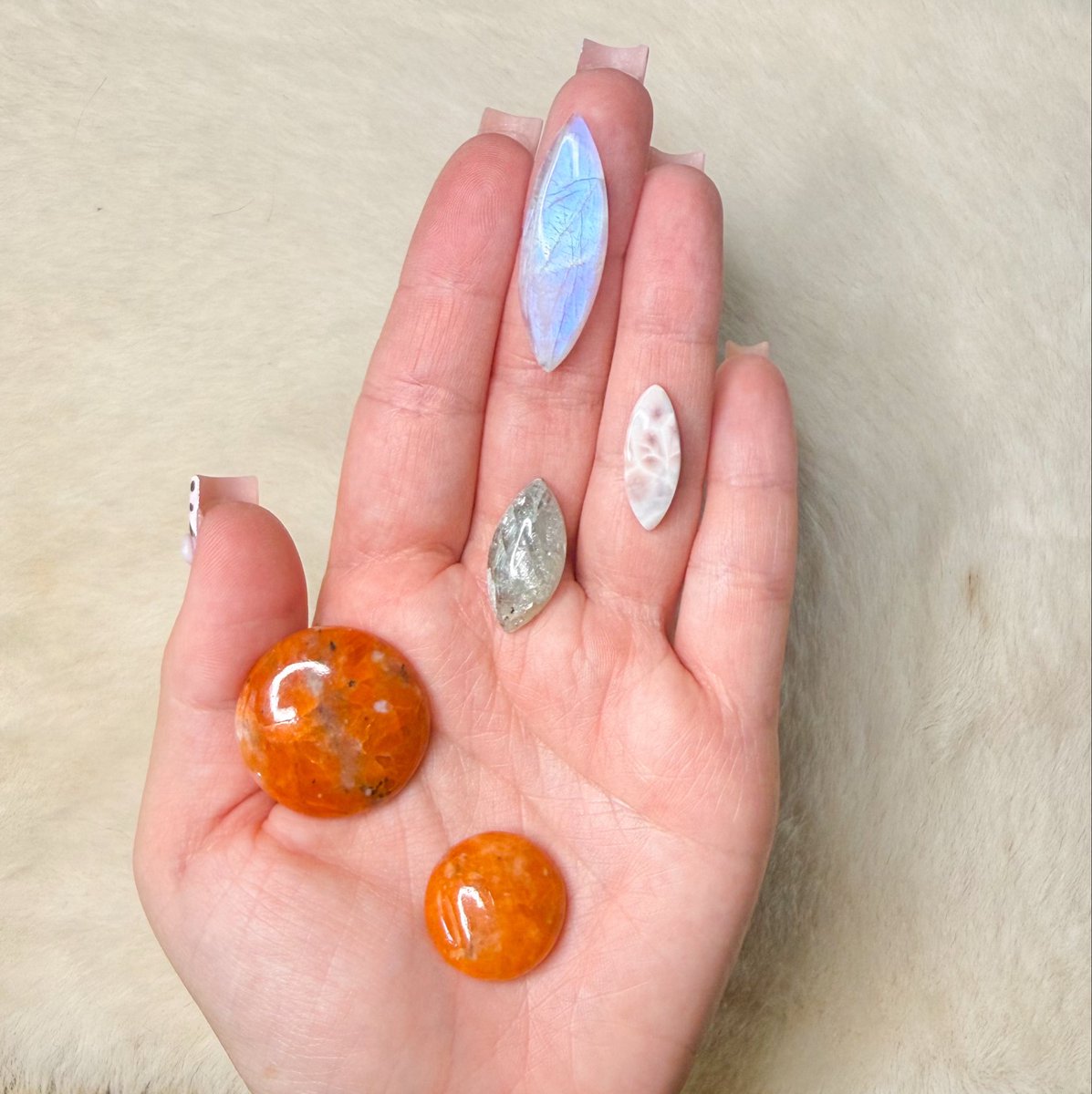 mildhippie's tweet photo. as I settle into my new normal &amp; try to start weekly shop updates again next month, for now I put a couple customs on my shop right now 👀🦋🐱 hurry!! Only 5 available &amp; all one of a kind :) https://t.co/1sGFh5TiNx