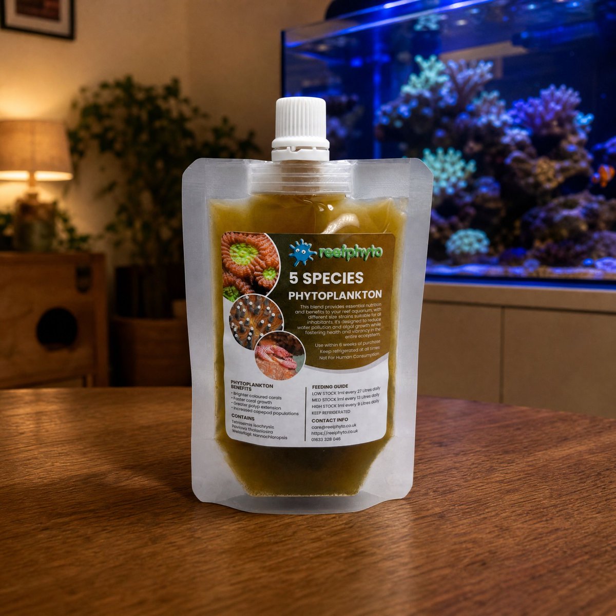 Reefphyto's tweet photo. Five species. One live phytoplankton blend. Explore Reefphyto’s 5 Species Phytoplankton, available sizes and feeding guidance: https://t.co/l17YB9khZL https://t.co/FQSlefBtuF