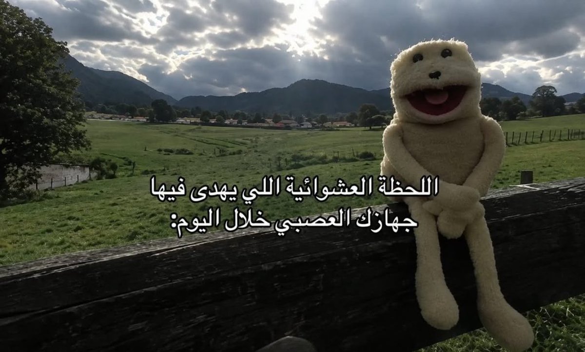 _97ni's tweet photo. و تجيني طاقه ايجابيه وراحه نفسيه مؤقته https://t.co/7jzaesQd6Y