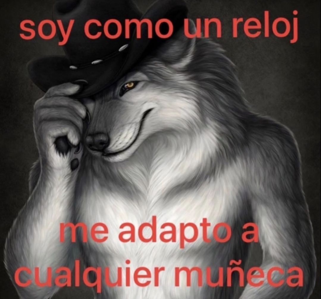 wikipistacho's tweet photo. https://t.co/9g8wfhZoQ5
