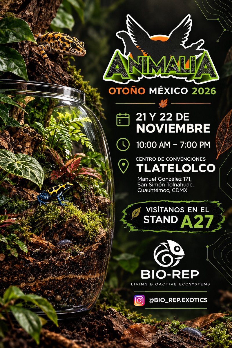 y_bios's tweet photo. #animaliamexico2026 #isopodos #colembolos #terrarios #terrariosbioactivos https://t.co/UkOBRKIKnY