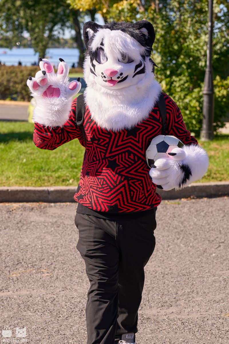 sillystargazzer's tweet photo. Happy #FursuitFriday !!
Had a blast last weekend at our local park meet ⚽️🌳☀️ Make sure to enjoy the nice weather while you can guys!

Big thank you to everyone I saw last saturday and to @matchakitty_ for the sick pictures! 📸 https://t.co/3c8BAXopij