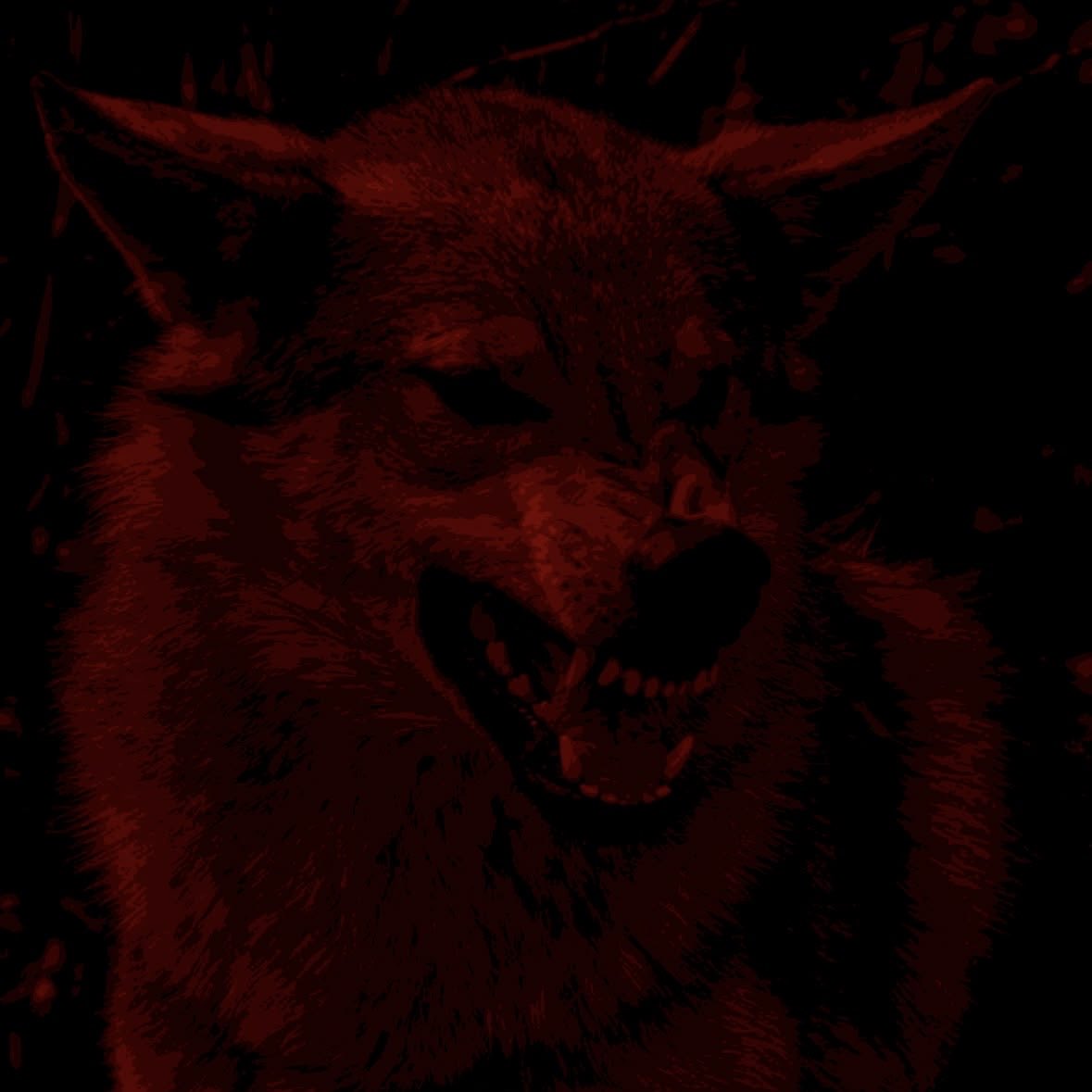 thatpupsailor's tweet photo. Not new to #nsfwtwt 

✟🦴18

✟🦴Switch (Sub-Leaning) 

✟🦴 She/He

✟🦴 Hard &amp; Soft kinks (No DNI) 

✟🦴 Your favorite wild wolf girl

✟🦴 Don’t be shy, say hi 🐺🥰

✟🦴 Looking for friendly interactive #moots

✟🦴Likes, Comments, &amp; Rtwts are appreciated ❤️ https://t.co/F26PyFtGDF