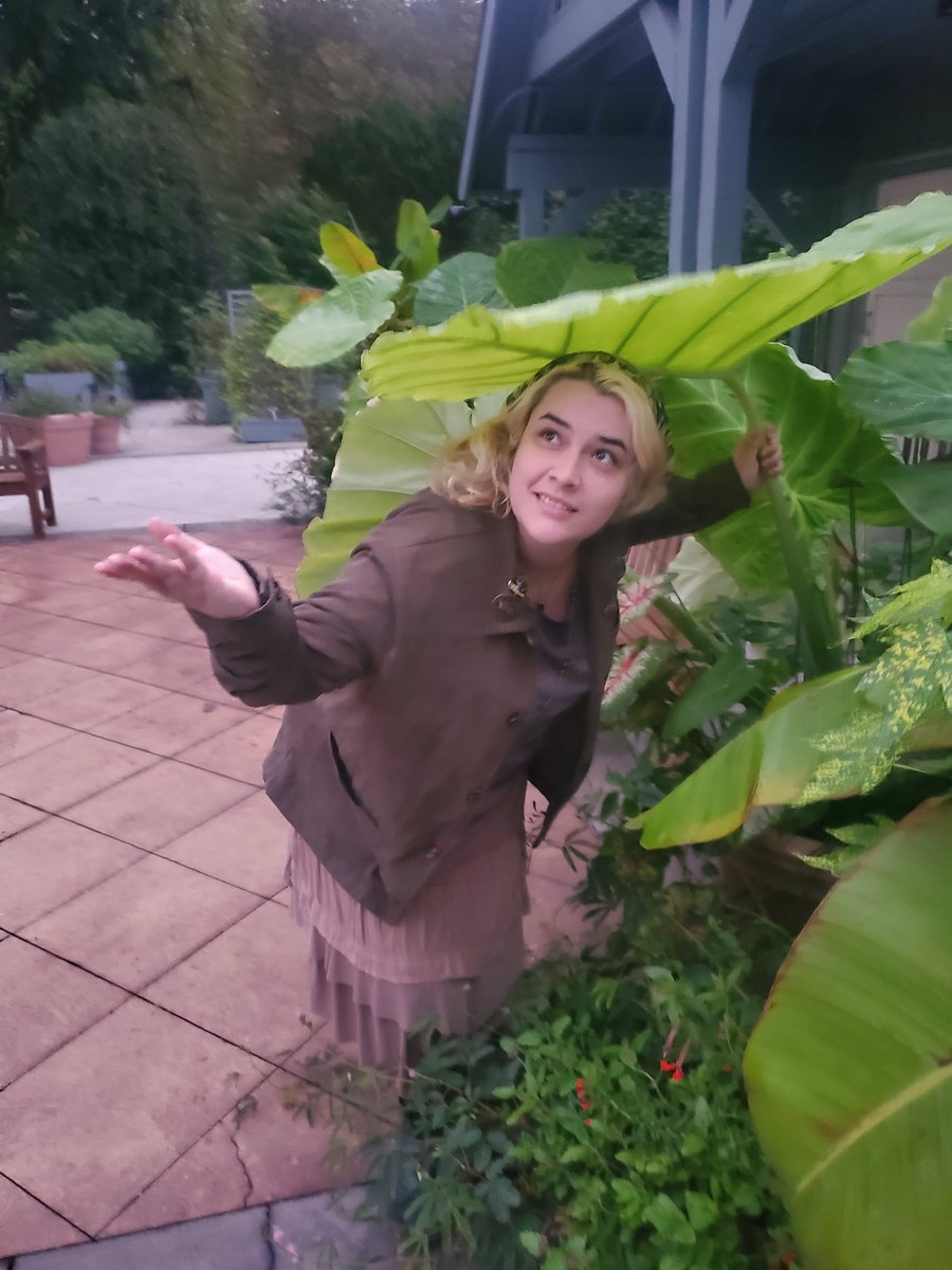 Silmarillion28's tweet photo. Big leaf, little hobbit. π #hobbitcore #nature https://t.co/FtS305RvYh