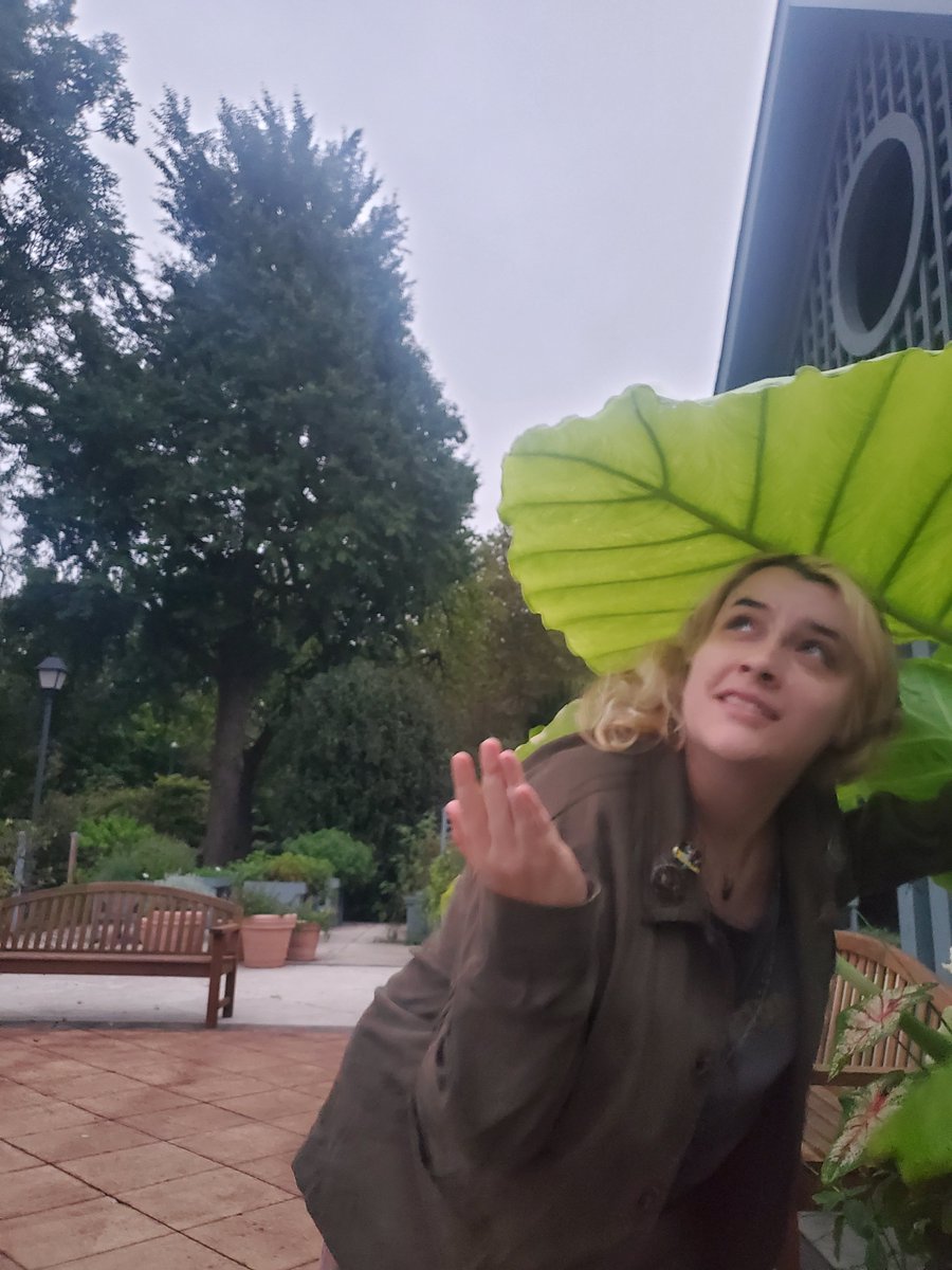 Silmarillion28's tweet photo. Big leaf, little hobbit. π #hobbitcore #nature https://t.co/FtS305RvYh