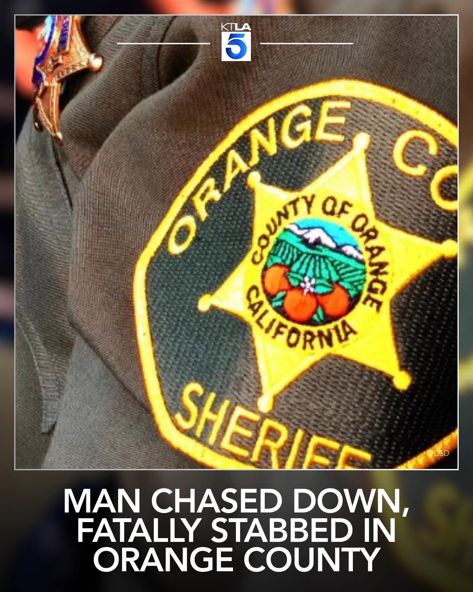 カリフォルニア州　ORANGE COUNTY　DETECTIVEバッジ KTLA on X: 