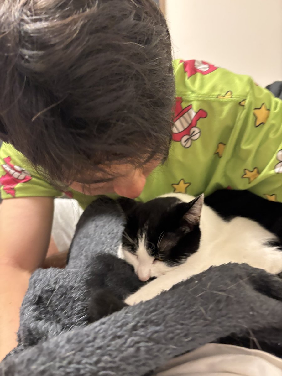 llll_n23's tweet photo. 構って欲しいからふみふみ邪魔してた(笑)
イライラしてた猫さん愛おしい https://t.co/q70eWxtNj5