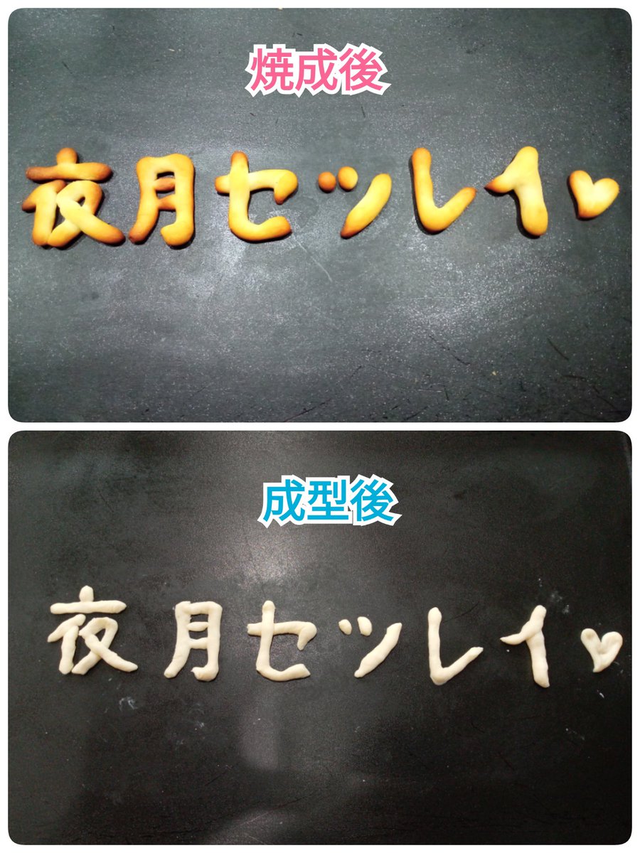 noix728's tweet photo. #みてよせっちゃん https://t.co/BbCPIMWz7y