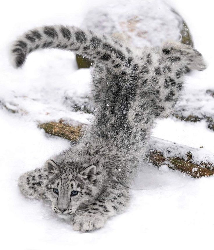 catgirlashx_x's tweet photo. i tripped... https://t.co/HCqdDpTRMy