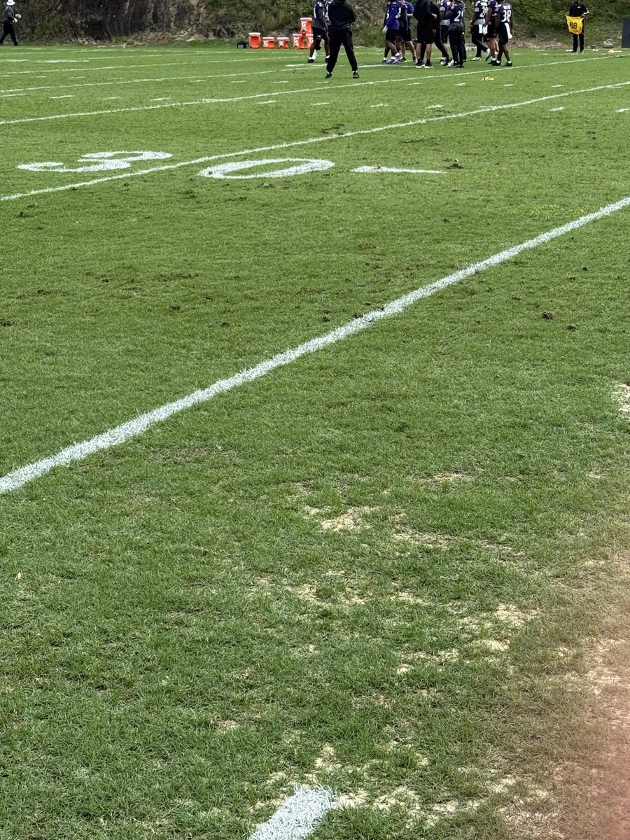 jeffzrebiec's tweet photo. Focus is on the game field Sunday, but can’t imagine Ravens are going to push it much on the practice field. A lot of divots https://t.co/TOr8Zvo9RQ