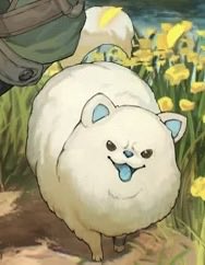 22ndiliad's tweet photo. they did this to Sétanta’s fat dog too https://t.co/LqJgWMuIsj