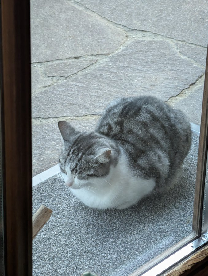 Mick2Bigg's tweet photo. @CatPosted https://t.co/xeUDV7Plrj