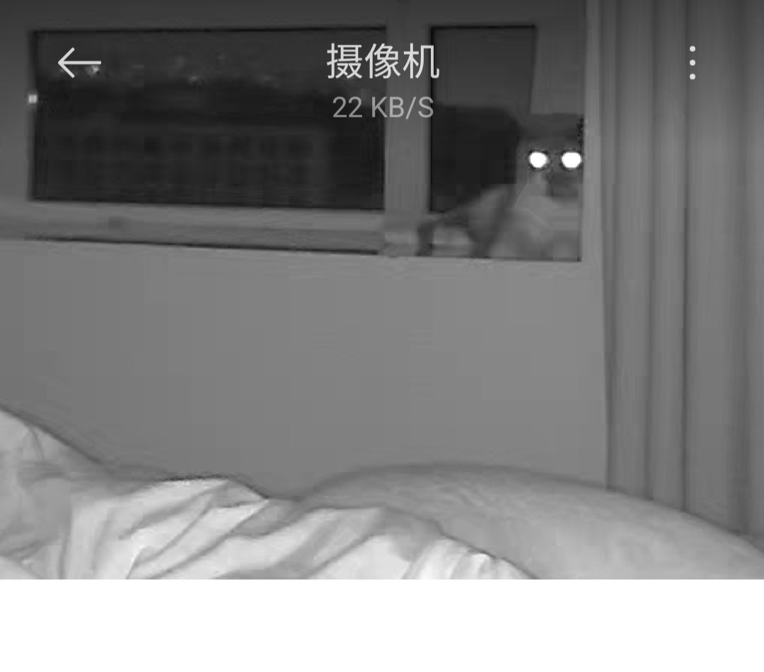 muyiloverose's tweet photo. 中秋节孩子一个人在家，半夜开着两个大灯泡，一会儿睡我枕头上一会儿睡飘窗上，想孩子了😭 https://t.co/HWxH2GPqKD