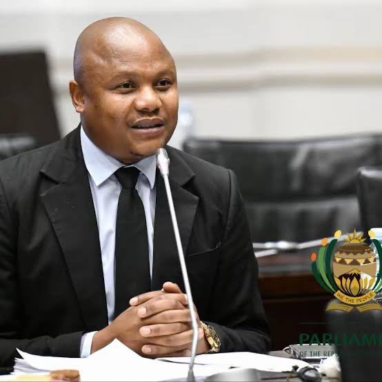 ZizinjaAbelungu's tweet photo. Xola Nqola and Khusela Diko, both ANC members, believe that Senzo Mchunu did nothing wrong by disbanding the PKTT. They also see nothing wrong with that the letter was first shared with Cat Matlala and Brown Mogotsi even before the National Commissioner of Polige Fannie Masemola was aware of it.