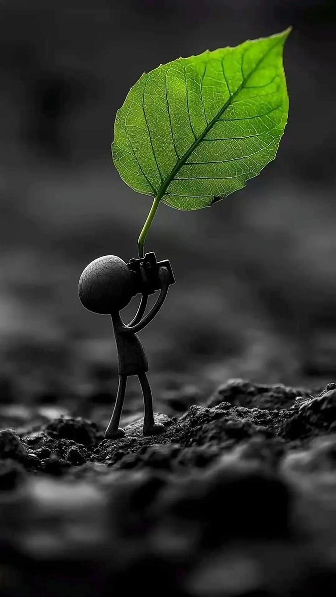 zinnatunfarzia's tweet photo. Hd aesthetic wallpaper 4k https://t.co/YEGWaHMtUS