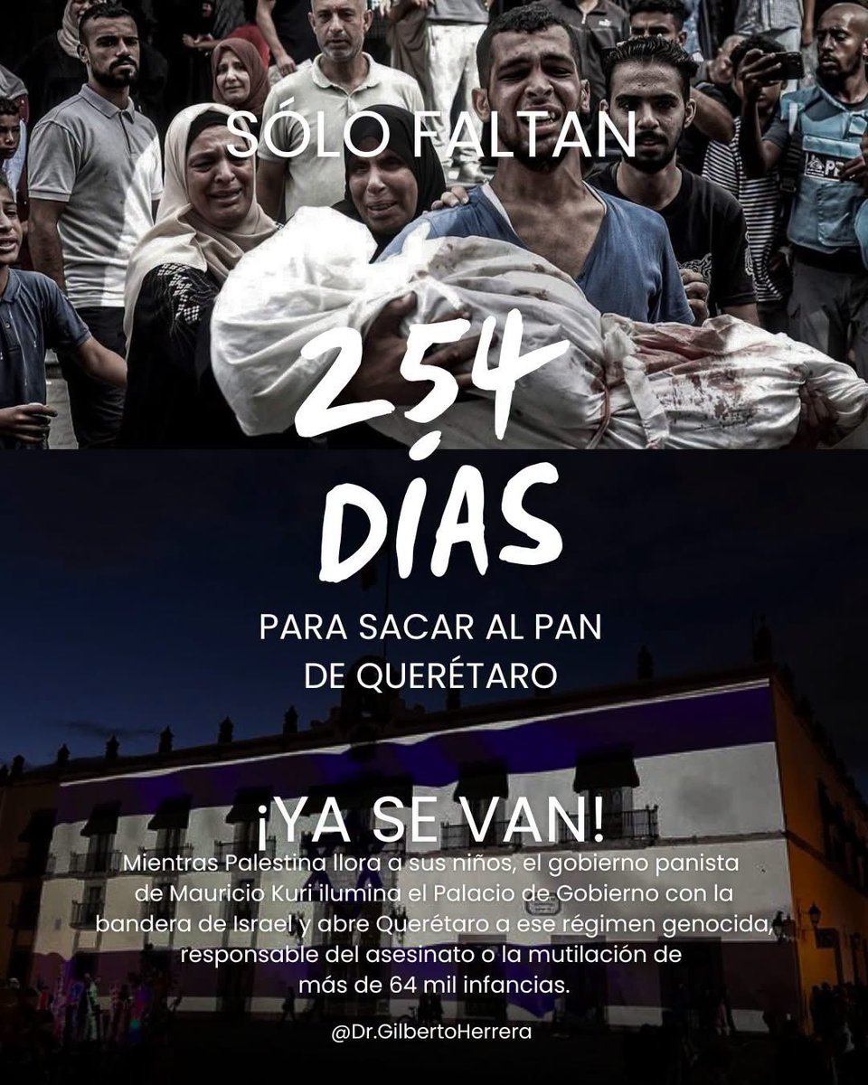 GilbertoHRuiz's tweet photo. Mientras Palestina llora a sus niños, el gobierno panista de Mauricio Kuri ilumina el Palacio de Gobierno con la bandera de Israel y abre Querétaro a ese régimen genocida, responsable del asesinato o la mutilación de más de 64 mil infancias.

#YaSeVan https://t.co/ijs2pXIWzr