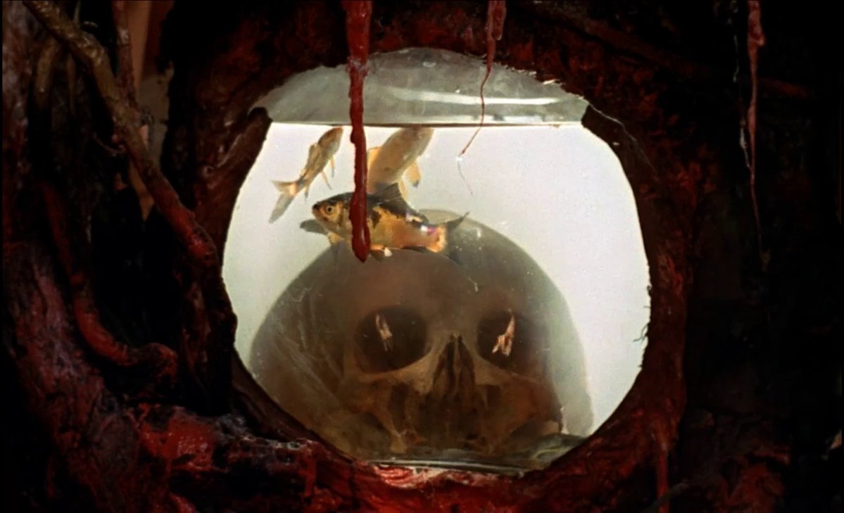 HauntedMovies's tweet photo. The Shiver of the Vampires (1971) dir. Jean Rollin https://t.co/9W4LRXwFKf