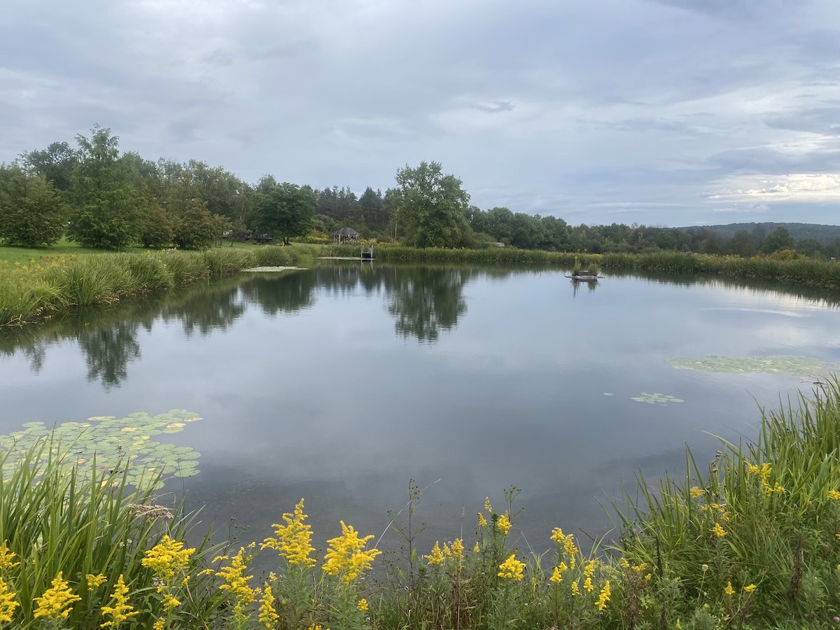 NYLandQuest's tweet photo. 51 acres HOUSE with GARAGE, POND and VIEWS in Angelica NY.  1,440 sq. ft. with 2 beds, 1.5 baths.  Stocked spring-fed pond, open fields, woods, outbuildings.  Pastureland for horses or livestock. Perfect Homestead property!  $249,900.  https://t.co/5dgnZCCcvU @NYLandQuest #house https://t.co/NhSpUvDBvN