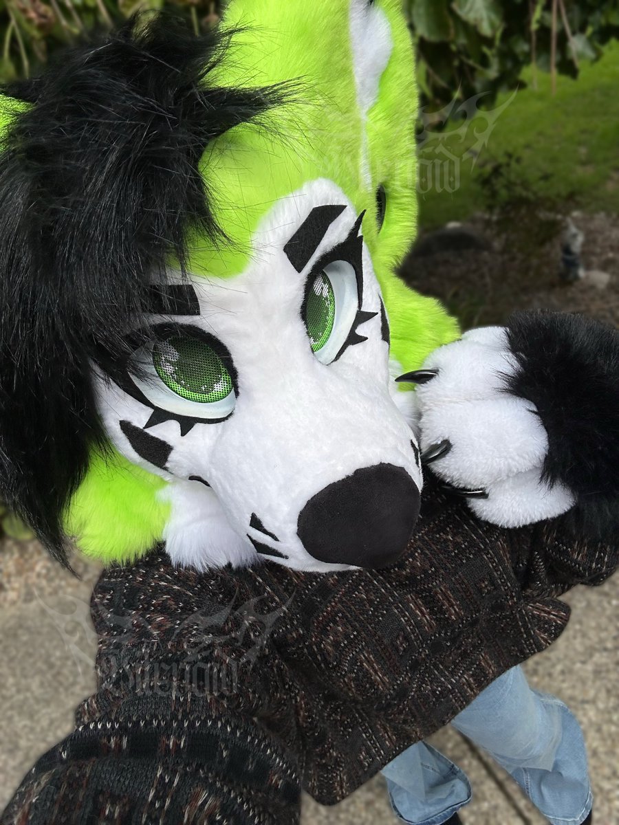 vilevoid's tweet photo. Wruff wruff. It’s finally fall! 🐾🍂 https://t.co/CGKCWmB9wo