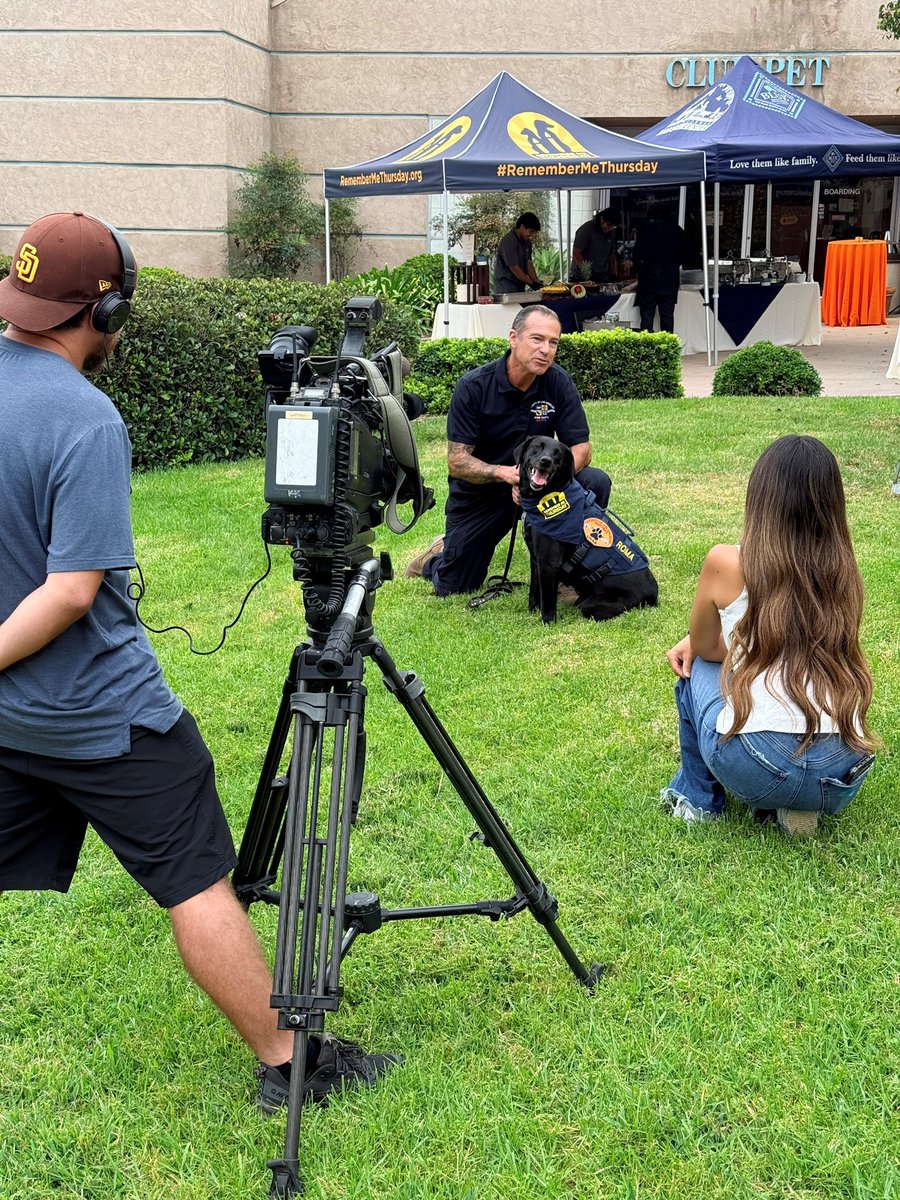 LACOFD's tweet photo. From an L.A. shelter to saving lives worldwide! 🐾
Congrats to #LACoFD Fire Fighter Derek Morree & K-9 Roma on winning the Pet Hero Award at Helen Woodward Animal Center’s #RememberMeThursday ceremony! 🏆
Roma was honored for her incredible life-saving work rescuing survivors trapped under earthquake rubble in Venezuela. 🇻🇪❤️
A true testament to the power of giving shelter dogs a second chance. 🐕🦺 Partnered with @searchdogfdn.