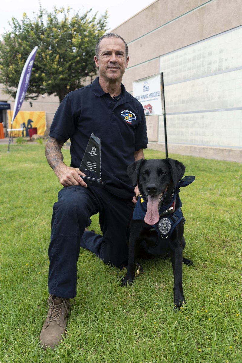 LACOFD's tweet photo. From an L.A. shelter to saving lives worldwide! 🐾
Congrats to #LACoFD Fire Fighter Derek Morree & K-9 Roma on winning the Pet Hero Award at Helen Woodward Animal Center’s #RememberMeThursday ceremony! 🏆
Roma was honored for her incredible life-saving work rescuing survivors trapped under earthquake rubble in Venezuela. 🇻🇪❤️
A true testament to the power of giving shelter dogs a second chance. 🐕🦺 Partnered with @searchdogfdn.
