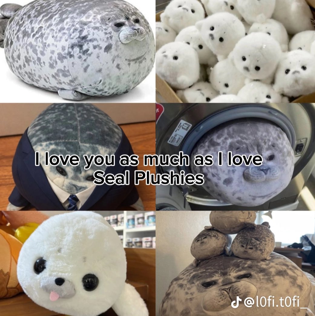 selkiegyuu's tweet photo. I Love You just as much as. . .
🦭🩵✨ https://t.co/MJh2TmGJRd