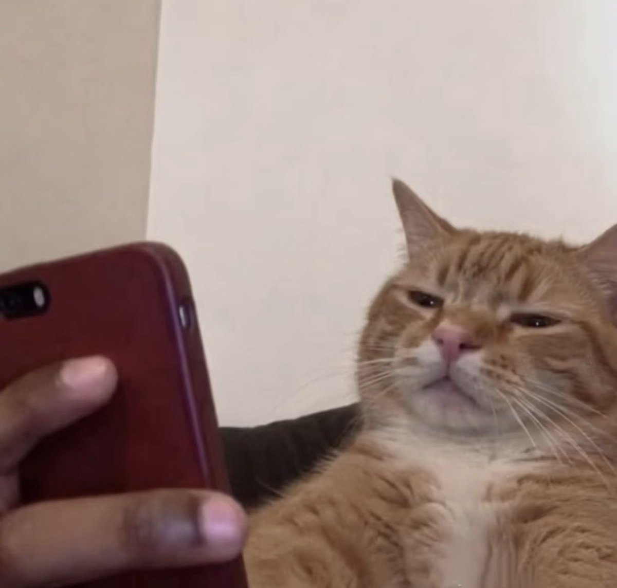 twaniimals's tweet photo. https://t.co/8PSksvPGFh