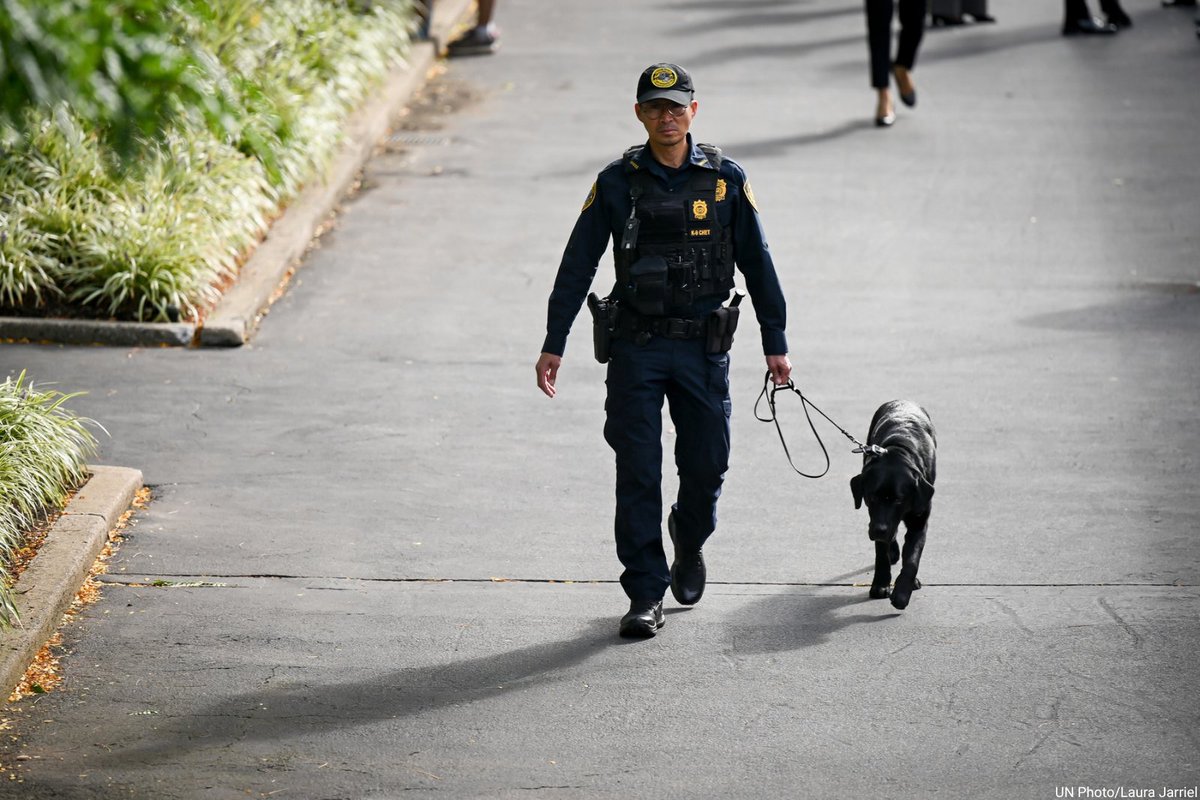 UN's tweet photo. 📸: A sincere thank you to the entire United Nations Security Service – including our 🐶K9 colleagues – for all their hard work this past week at #UNGA.

More on the work of @UNDSS around the world: https://t.co/6AvGk9XYEi https://t.co/30N96vONdX