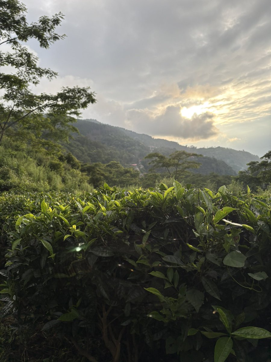 Faqamast_'s tweet photo. Tinchuley 🍃 https://t.co/irzfpVhSsB