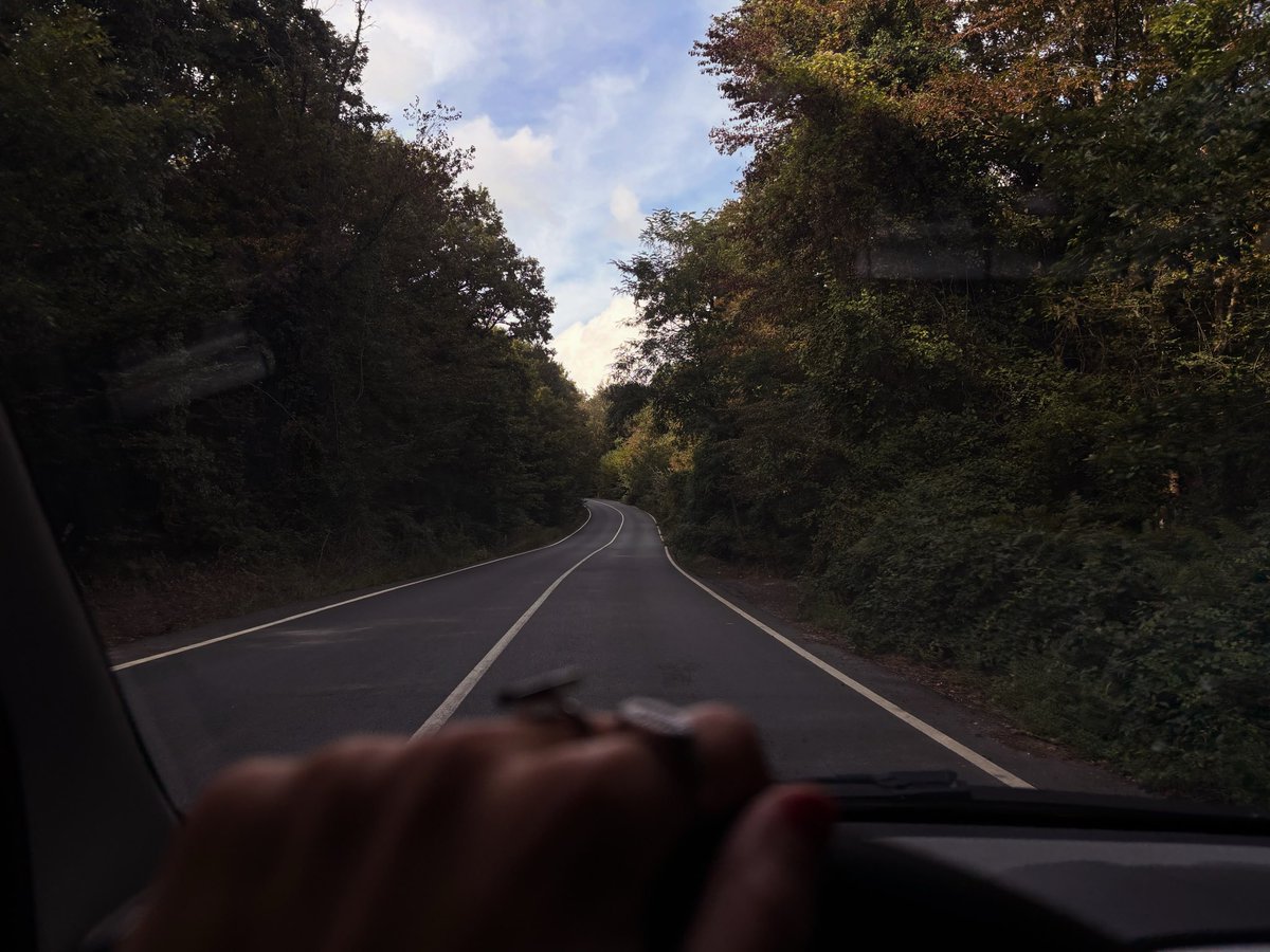 semayserbest's tweet photo. #drivingcar #shotoniphone
https://t.co/RNPRtmZyZS https://t.co/aUNvrKdls3