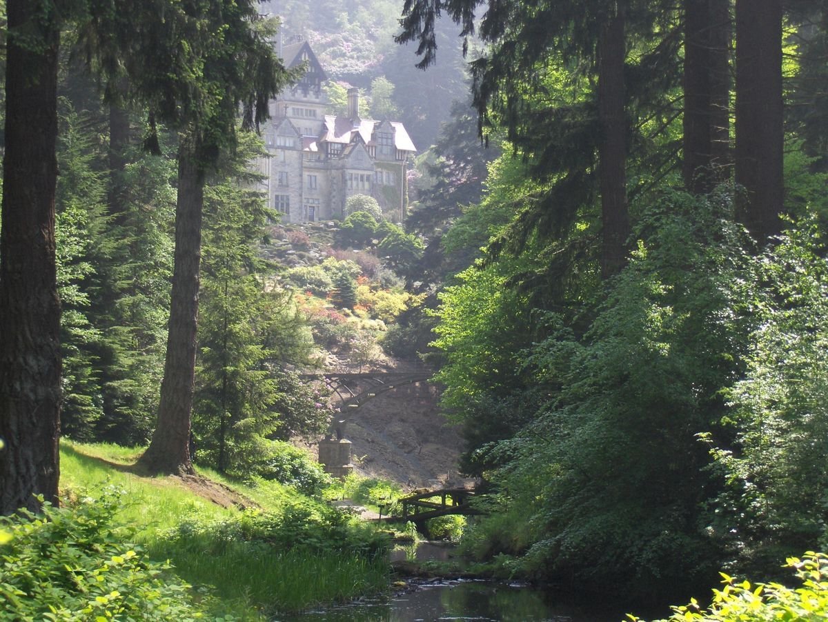 petrospebbles's tweet photo. real life rivendell https://t.co/WeyZbFntUK