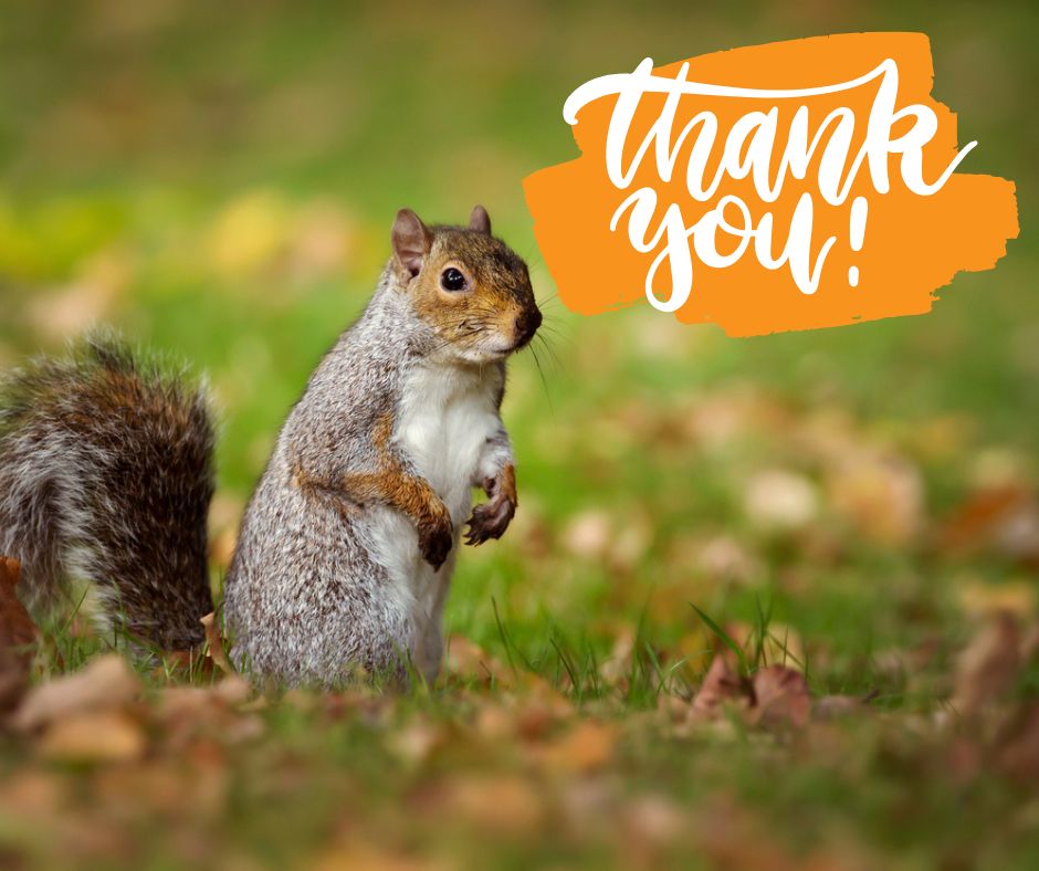 nasbp's tweet photo. Thank you to all who attended the #NASBPEast Meeting this week! We had a great time seeing so many of our members. Did you see any East Gray Squirrels while in Philadelphia? They are common wildlife in the city: https://t.co/YE0bFORMGG #NASBPPhiladelphia #StabilityThroughPurpose https://t.co/C9aevaIBNw
