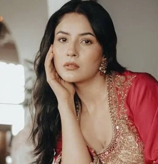 kapilywy2's tweet photo. @ishehnaaz_gill  india ki shan india ki jan model actor singer #shahnaazgill https://t.co/DJ5hRvBirl