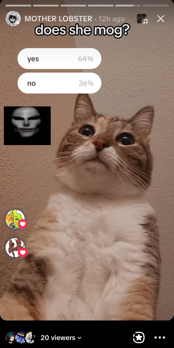 motherlobster0's tweet photo. Does she mog???
@Ketcheye 
#madnesscombat https://t.co/tlJzPGCtDd