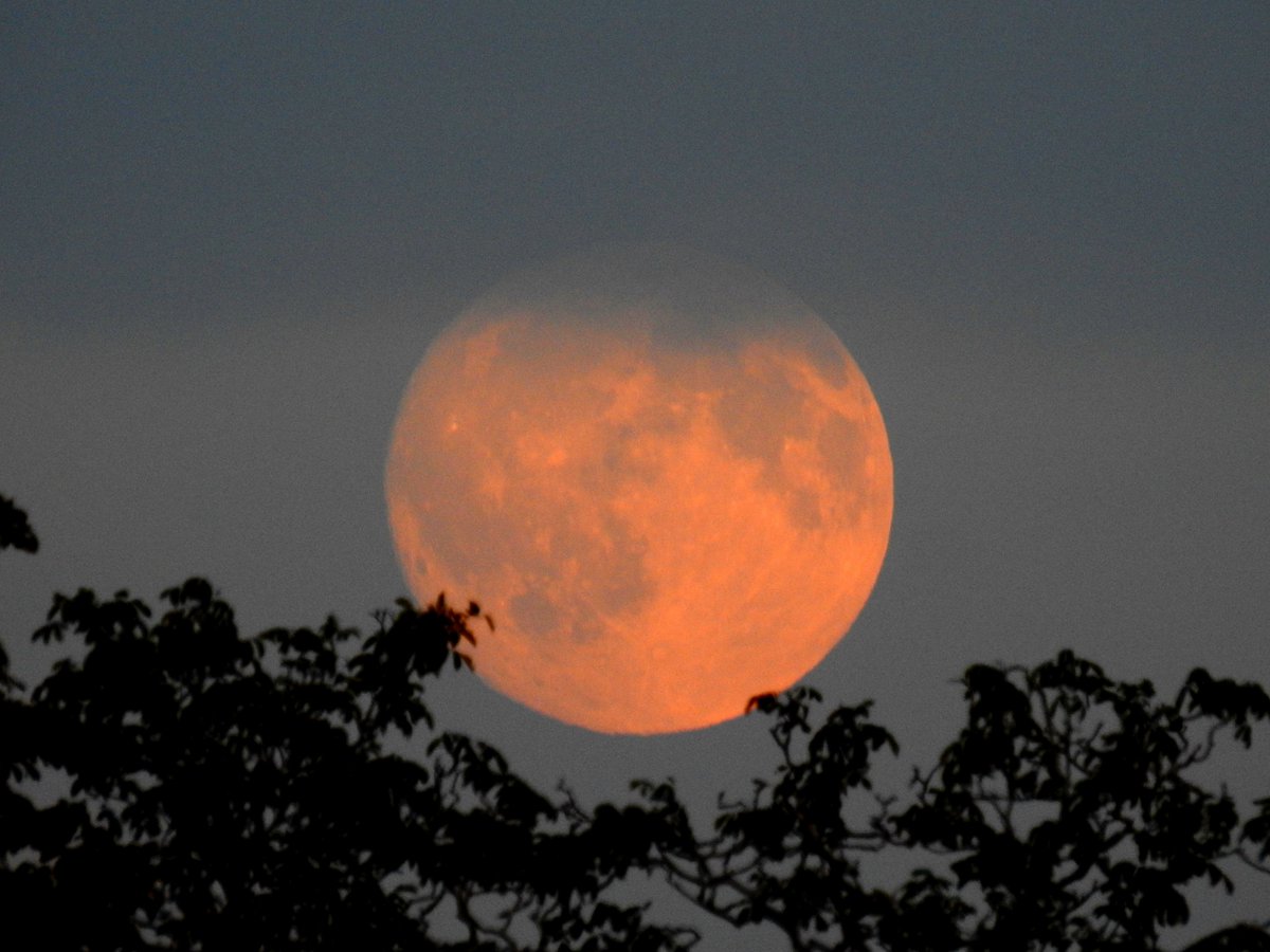 mildthing99's tweet photo. Almost full #WaxingGibbous 🌕 99%
#HarvestMoon #HuntersMoon #SurreyHills
@DavidBflower @CloudAppSoc @StormHour @ThePhotoHour
 #StormHour #getoutside #loveukweather https://t.co/mQ89acQ4AZ