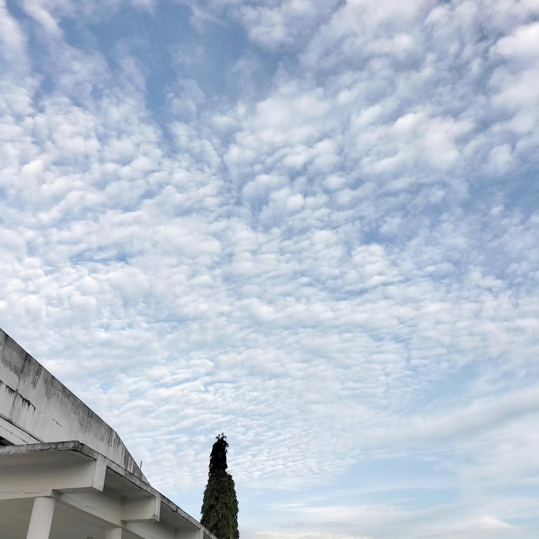 CharlesGeras's tweet photo. Jogging beneath a baby-blue sky. https://t.co/onvCclWCHm