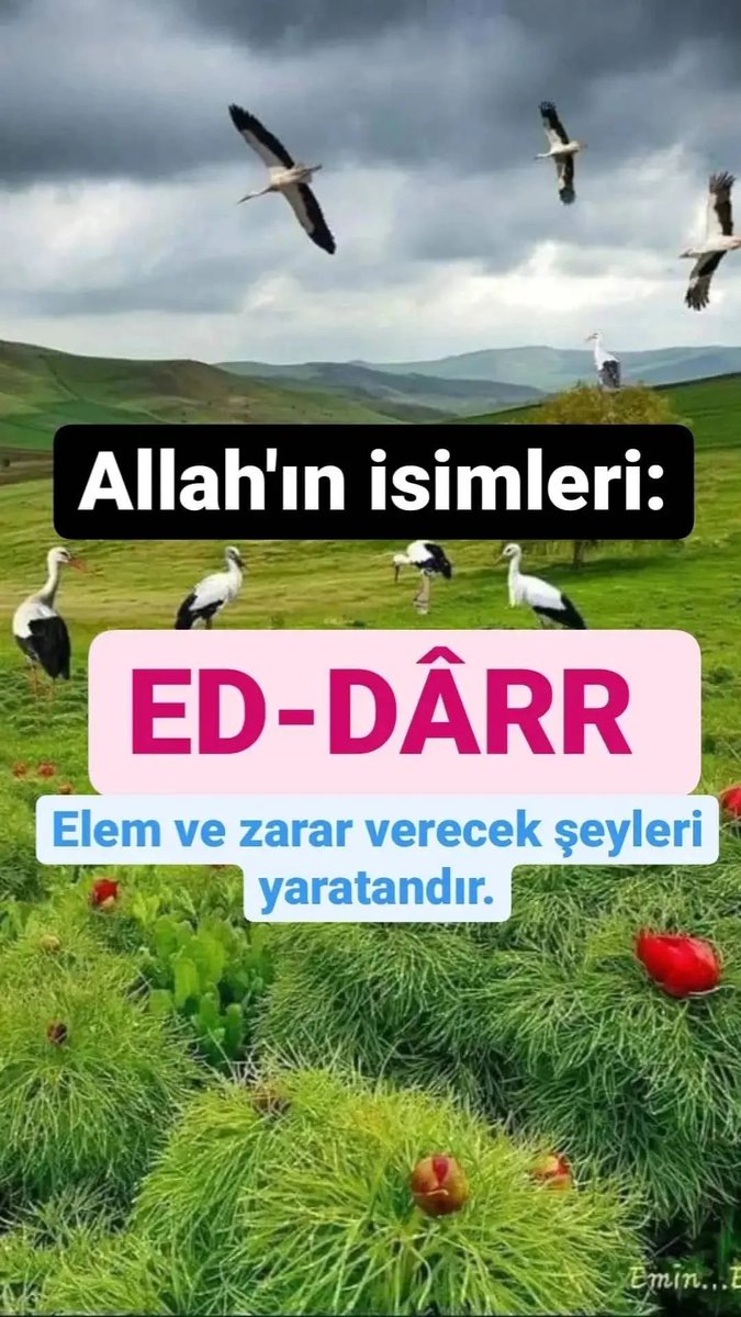 halilozgur02's tweet photo. https://t.co/0pqFxaCxPZ
