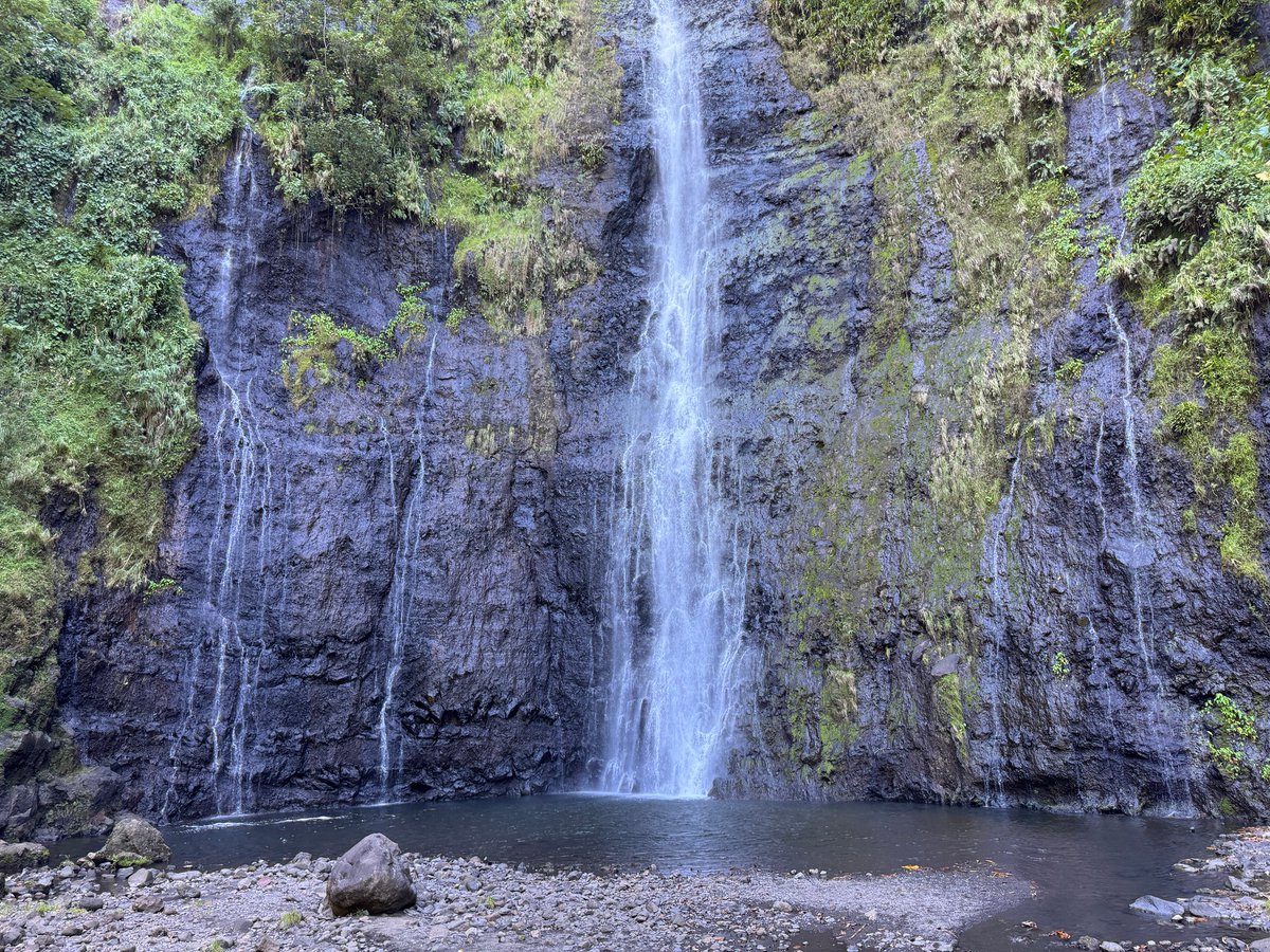 2TallTom's tweet photo. Your first stop, Hinano Beer. #Tahitii.
Or one of your first.
Maybe get something to eat.
Or go for a swim.
#haiku #travel #cruise #rivercruise #ABD #Disney #DCL #follow #Azamara #AmaWaterways #TravelAgent
https://t.co/uw4gQasZBB https://t.co/XmBdHm2wLX