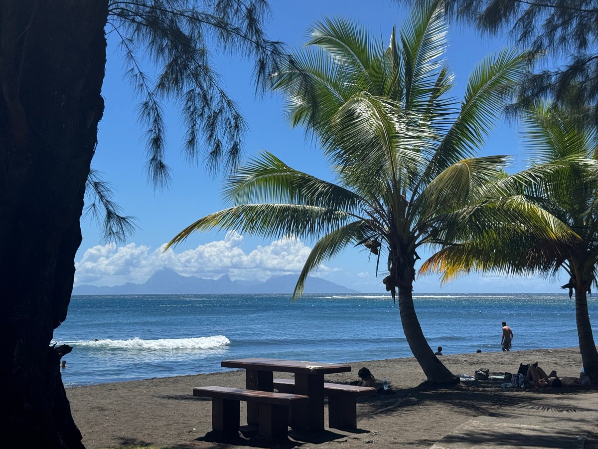 2TallTom's tweet photo. Your first stop, Hinano Beer. #Tahitii.
Or one of your first.
Maybe get something to eat.
Or go for a swim.
#haiku #travel #cruise #rivercruise #ABD #Disney #DCL #follow #Azamara #AmaWaterways #TravelAgent
https://t.co/uw4gQasZBB https://t.co/XmBdHm2wLX