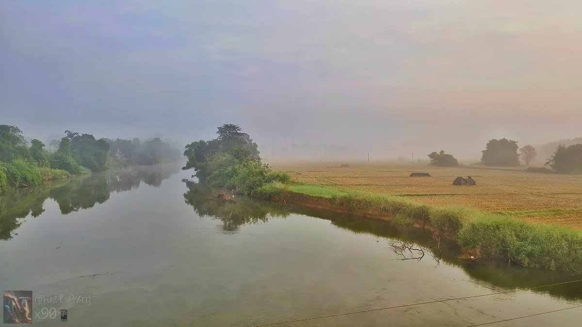 MargotCaldmc's tweet photo. Morning fog. Follow @im__ahm. https://t.co/4ZncFqiFZO