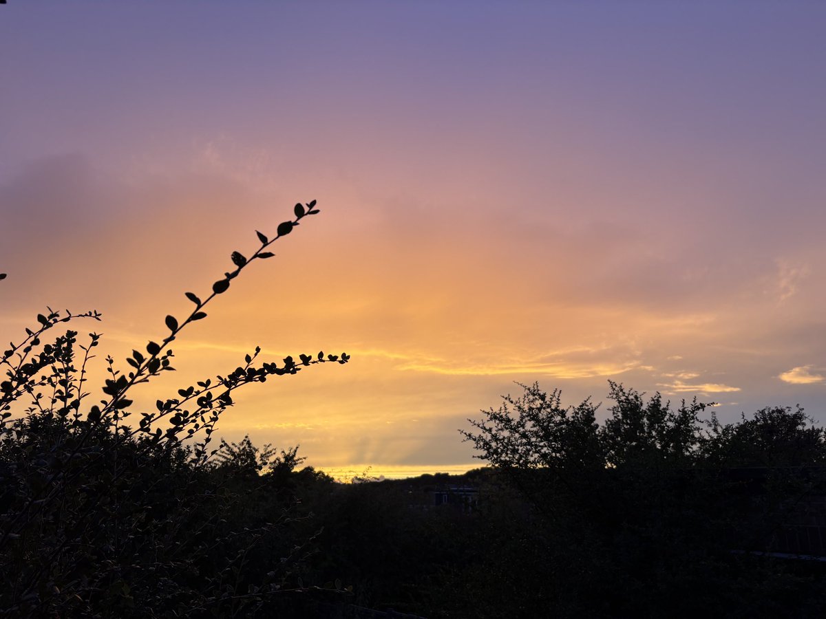 waka_walker's tweet photo. Meanwood Sunset https://t.co/Kksv1S13U0